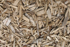 biomass boilers Balderstone